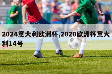 2024意大利欧洲杯,2020欧洲杯意大利14号