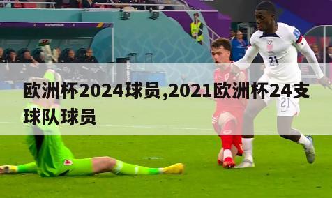 欧洲杯2024球员,2021欧洲杯24支球队球员