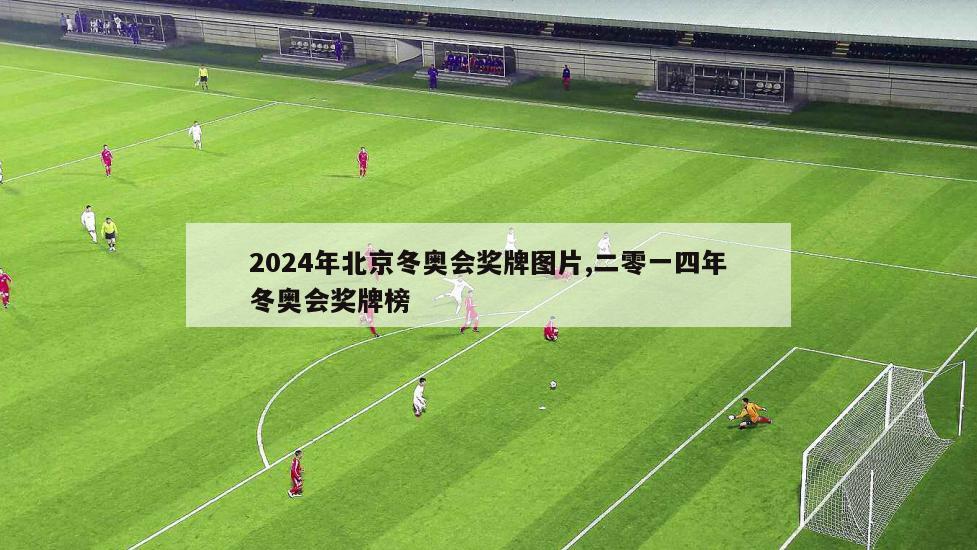 2024年北京冬奥会奖牌图片,二零一四年冬奥会奖牌榜