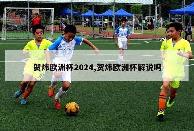 贺炜欧洲杯2024,贺炜欧洲杯解说吗