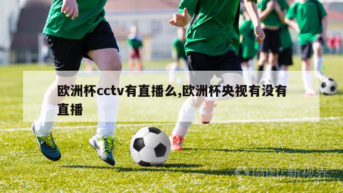 欧洲杯cctv有直播么,欧洲杯央视有没有直播